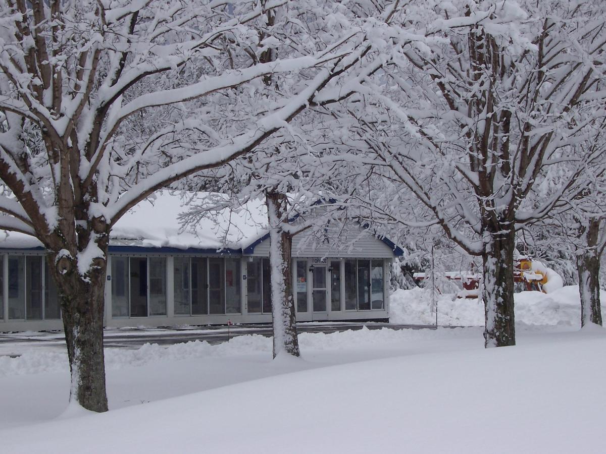 North Colony Motel And Cottages Bartlett Buitenkant foto