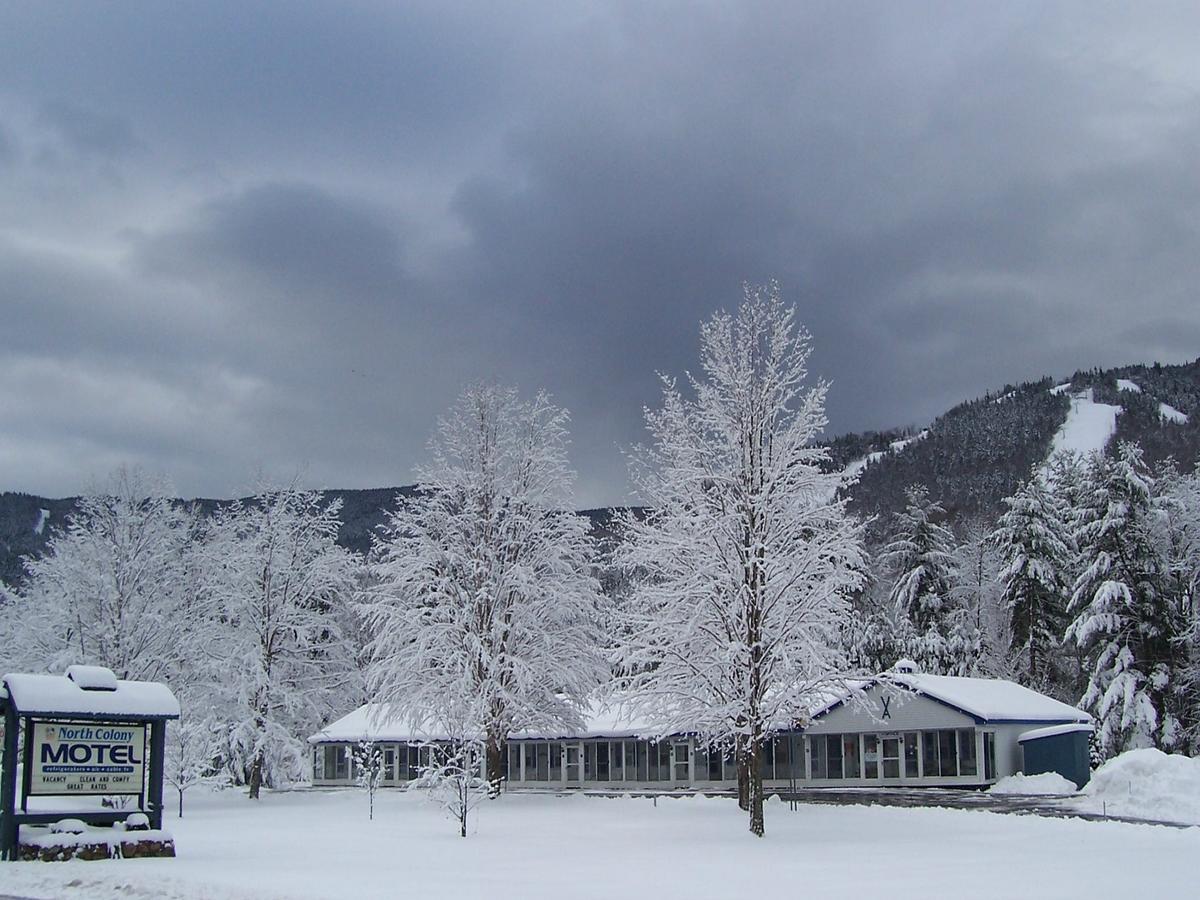 North Colony Motel And Cottages Bartlett Buitenkant foto